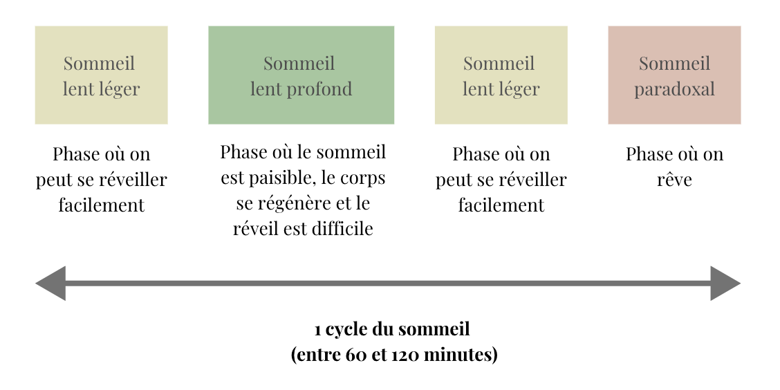 Un cycle du sommeil<br />
Vérane Geronimi, sophrologie et hypnose Toulouse