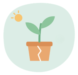 Jeune plante verte qui pousse dans un pot orange fissuré, sous un petit soleil jaune