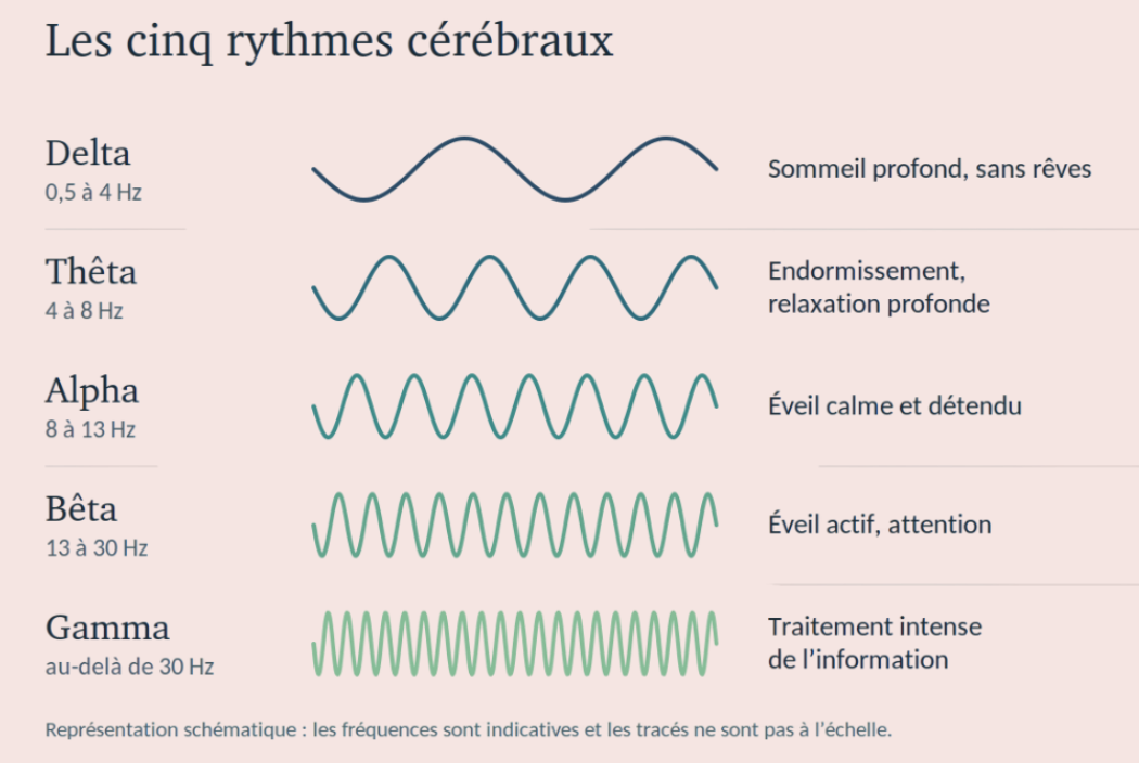 Schéma des cinq rythmes cérébraux : Delta (sommeil profond), Thêta (endormissement et relaxation profonde), Alpha (éveil calme), Bêta (éveil actif) et Gamma (traitement intense de l'information), avec leur fréquence en Hz.